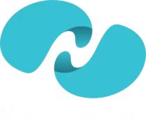 logo-nsatu-white-x logo-nsatu-white-x